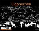 Аватар для Ogonechek
